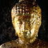 Photo Gallery of Thailand